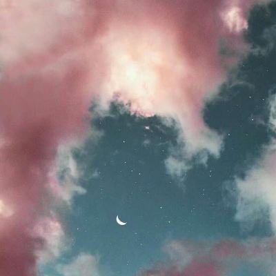 深空星云：从海鸥星云到加利福尼亚星云